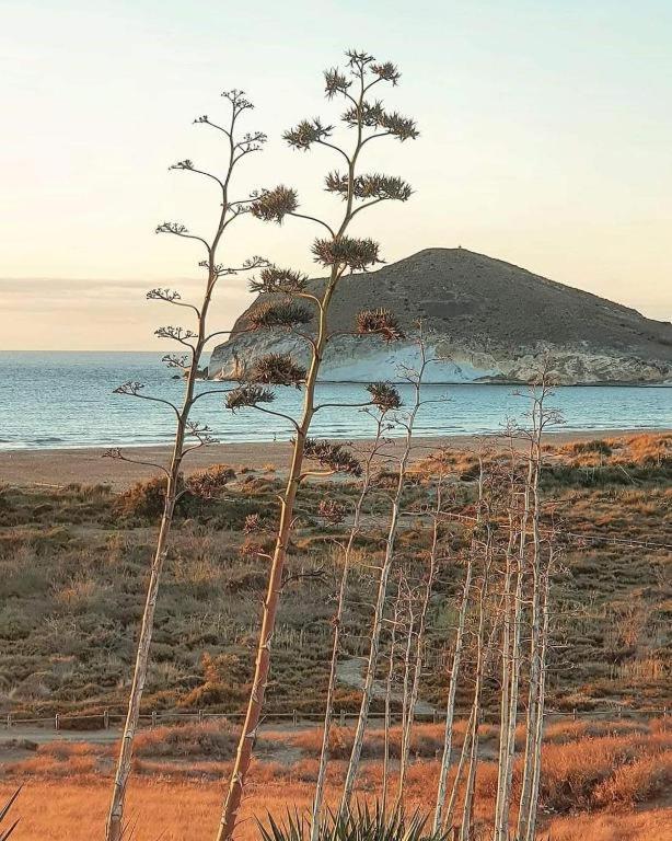 Magnifica Casa Con Encanto En Agua Amarga أغوا امارجا المظهر الخارجي الصورة